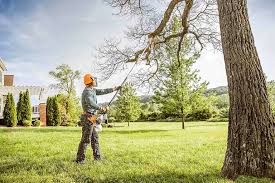 Best Tree Mulching  in Casper, WY